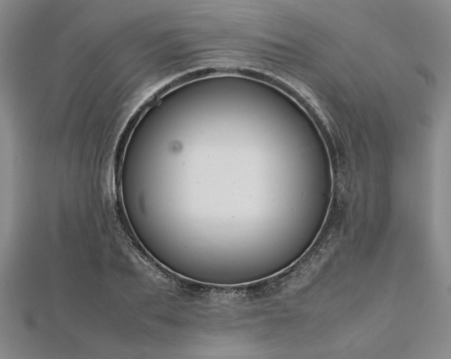 X0000112470887200908241231