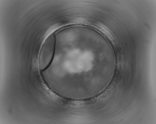 X0000112470888200908241231