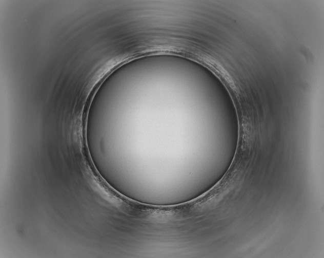 X0000112470890200908241231