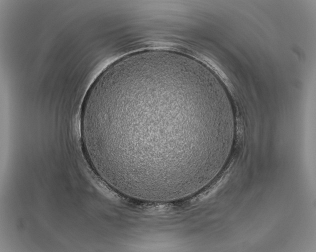 X0000112470891200908241231