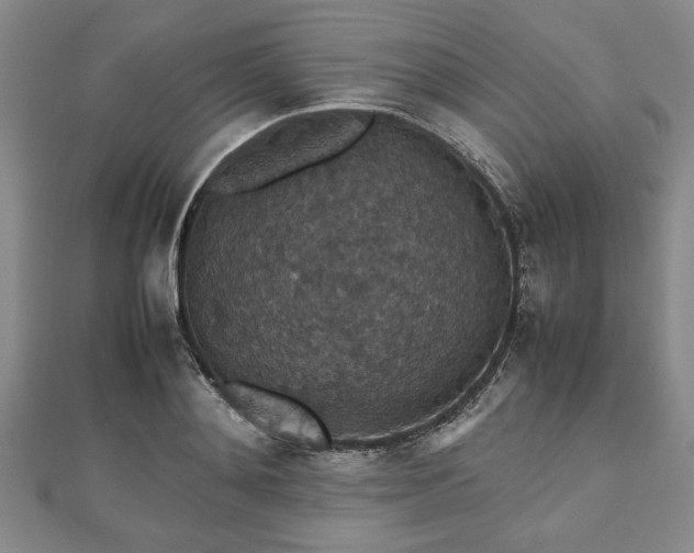 X0000112470892200908241231