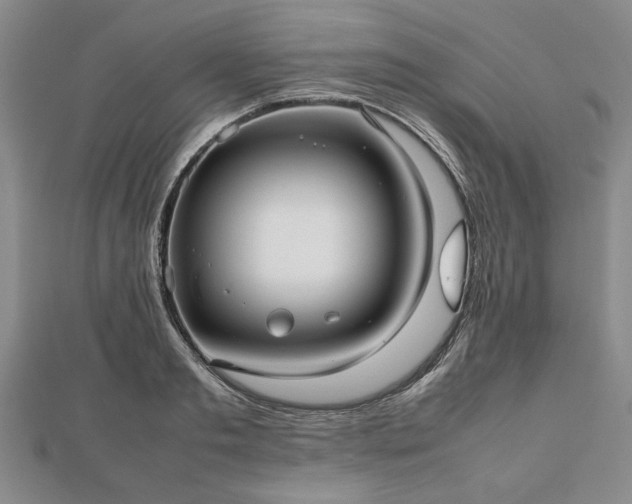 X0000112470893200908241230