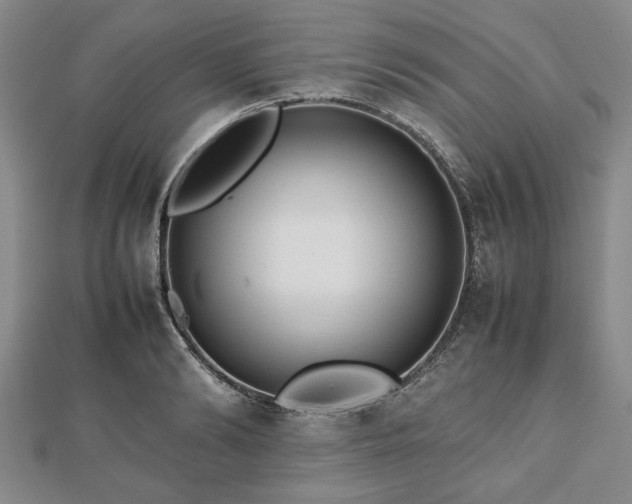 X0000112470894200908241230