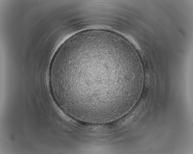 X0000112470895200908241230