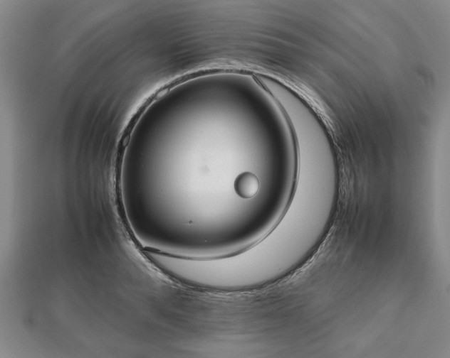 X0000112470896200908241230