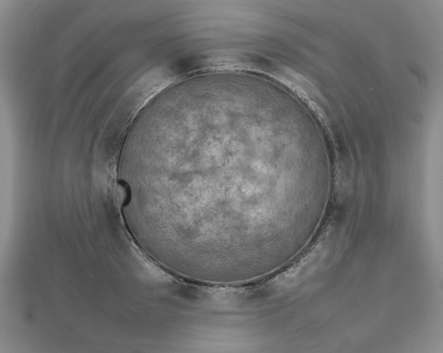 X0000112470897200908241230