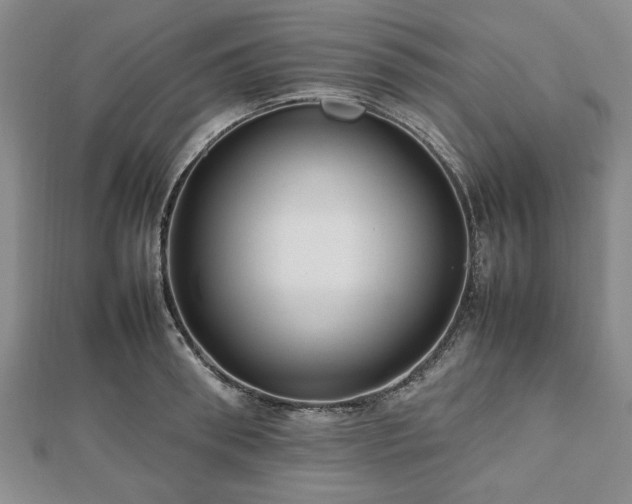 X0000112470898200908241230