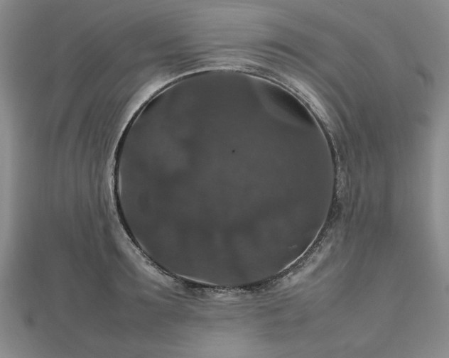 X0000112470899200908241230