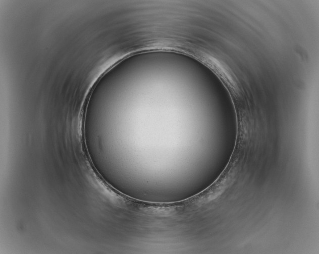 X0000112470900200908241230