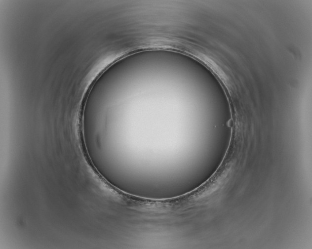 X0000112470901200908241230