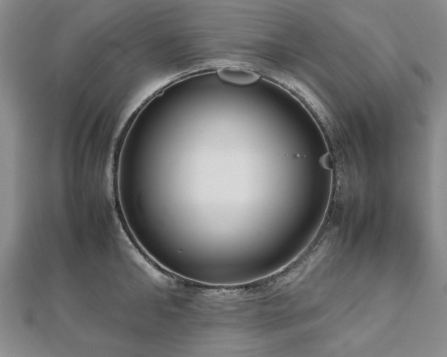 X0000112470902200908241230