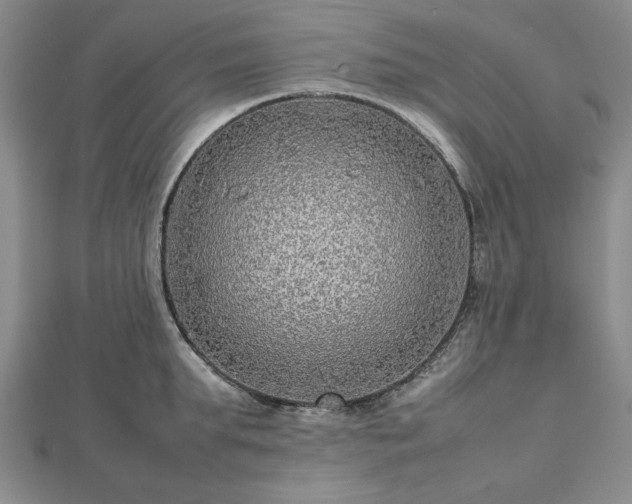 X0000112470903200908241230