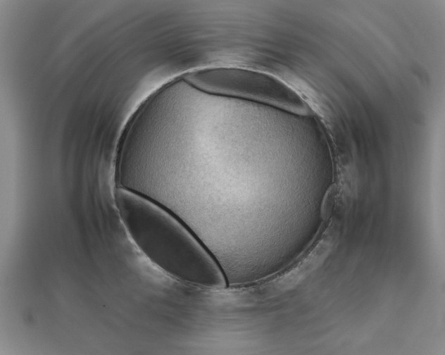 X0000112470904200908241230