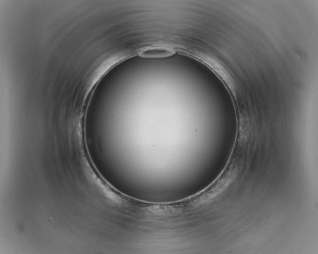 X0000112470906200908241230