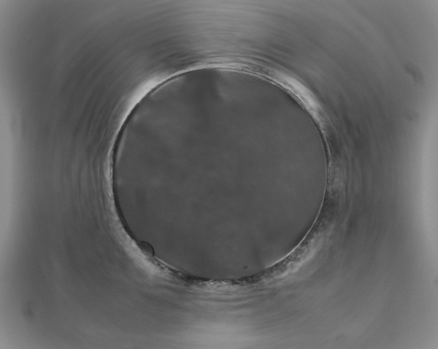 X0000112470907200908241230