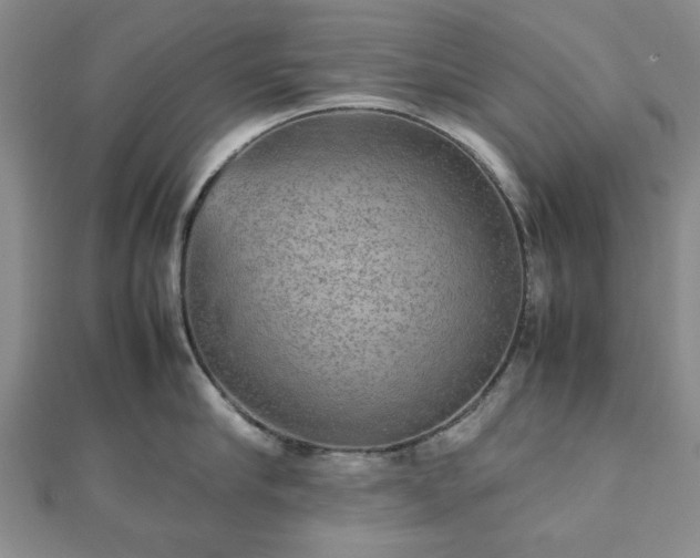 X0000112470910200908241230