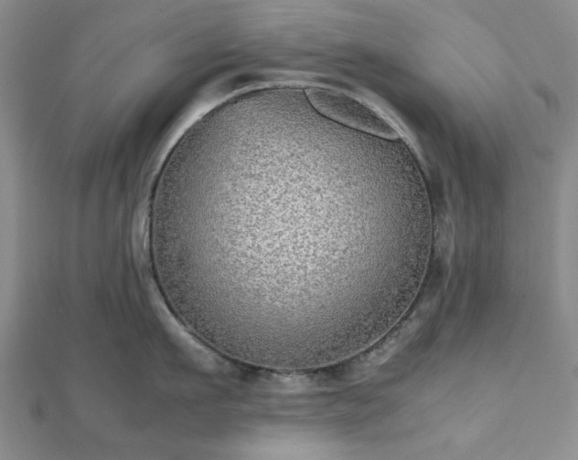 X0000112470911200908241230