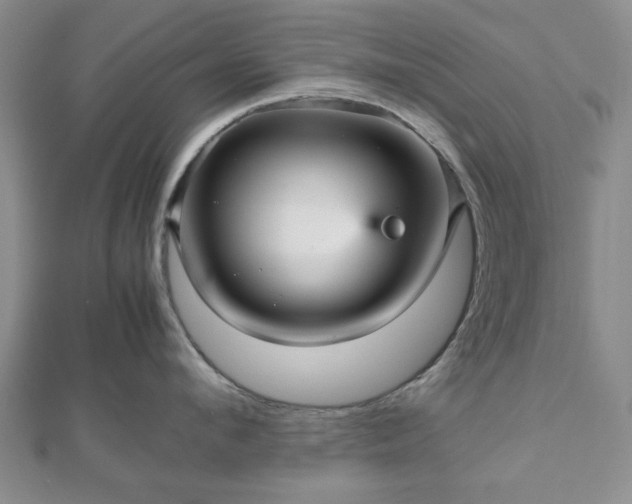 X0000112470912200908241230