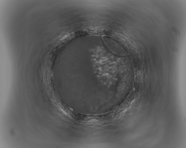 X0000112470913200908241229