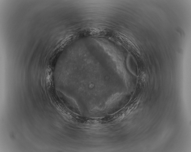 X0000112470914200908241229