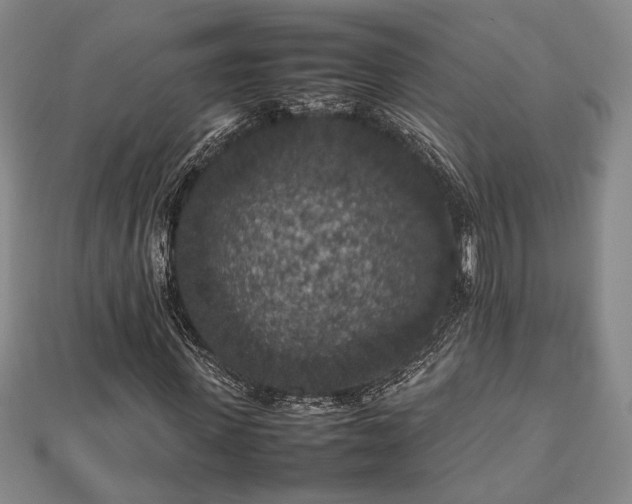 X0000112470915200908241229