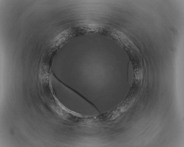 X0000112470916200908241229