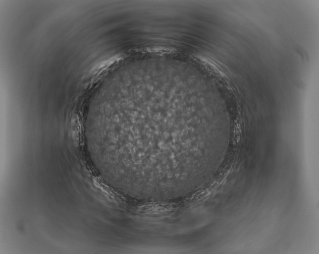 X0000112470917200908241230