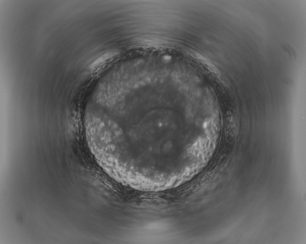 X0000112470918200908241230