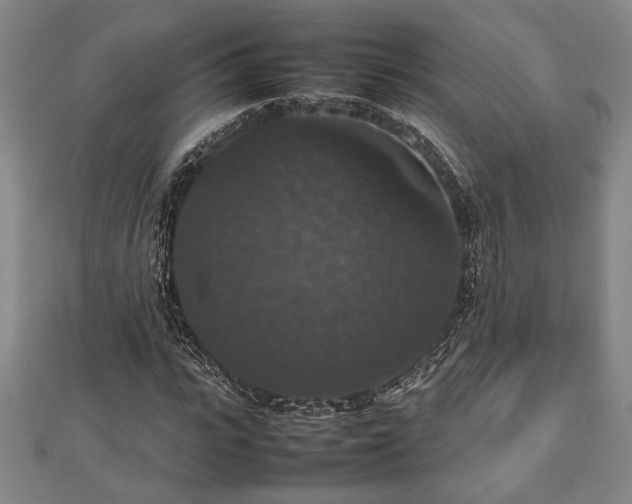 X0000112470919200908241230