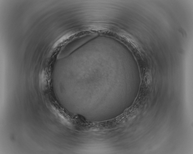 X0000112470920200908241230