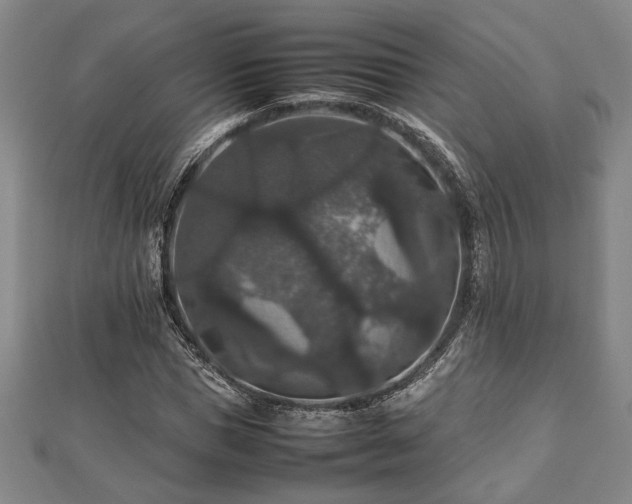 X0000112470921200908241230