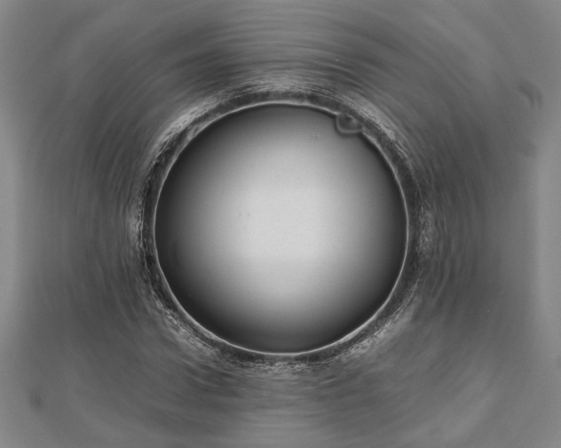 X0000112470922200908241230