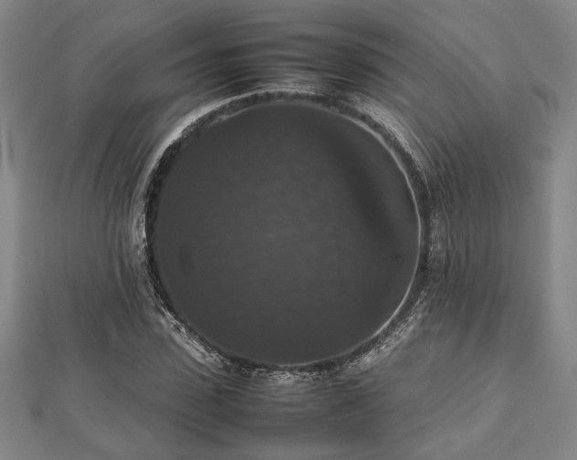 X0000112470923200908241230