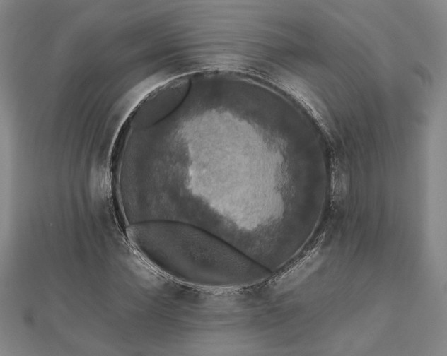 X0000112470924200908241230