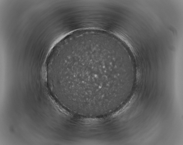 X0000112470925200908241230