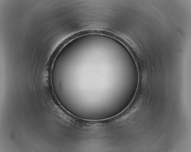 X0000112470926200908241230