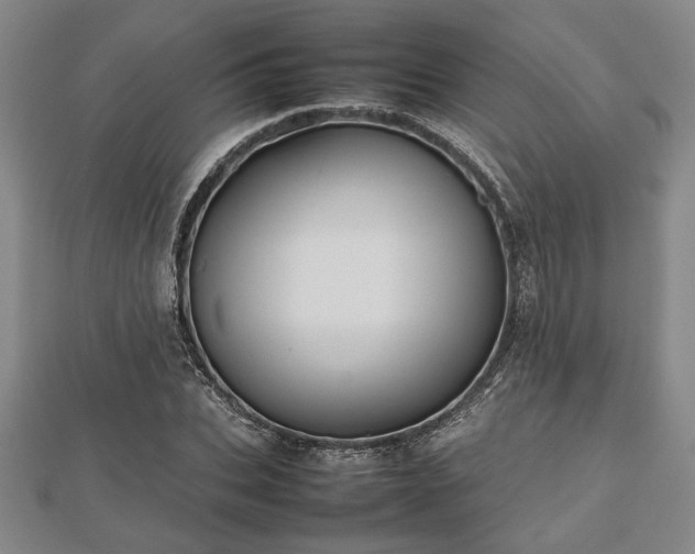 X0000112470927200908241230