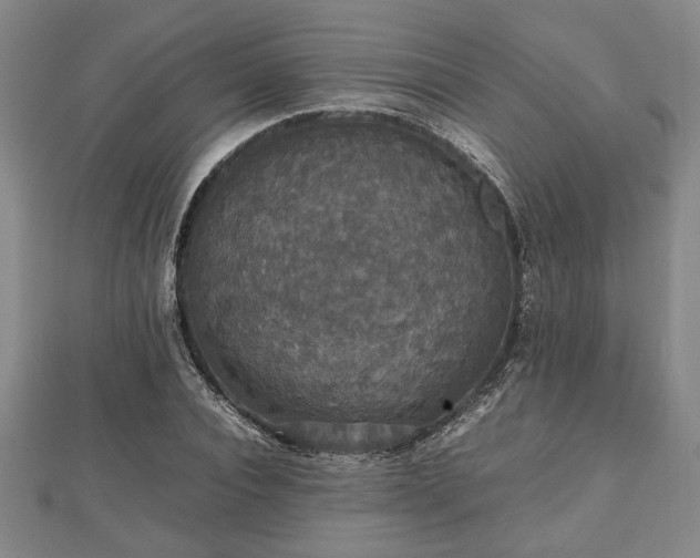 X0000112470928200908241230