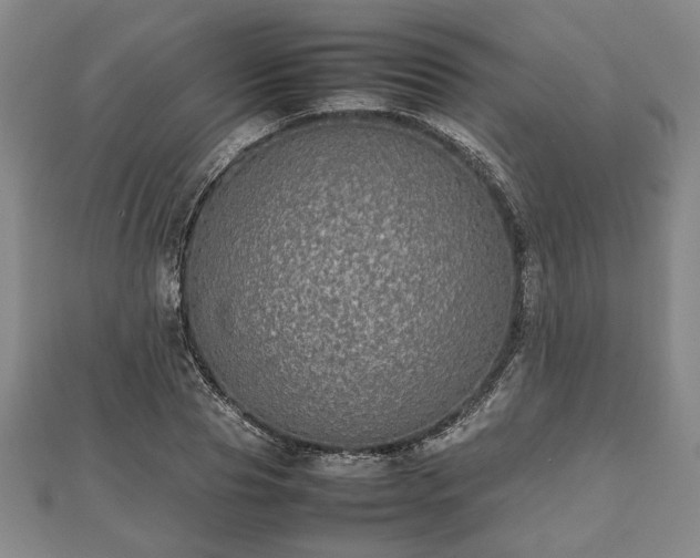 X0000112470929200908241230