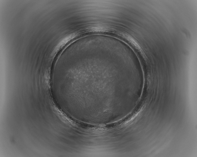 X0000112470930200908241230