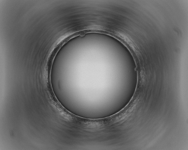 X0000112470931200908241230