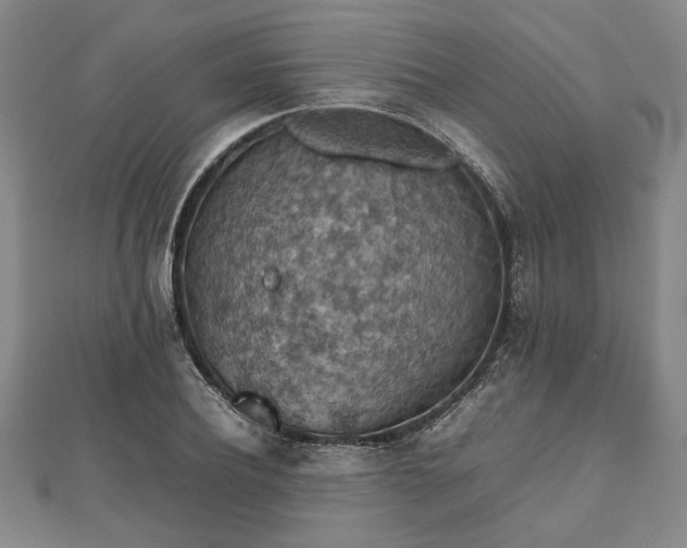 X0000112470932200908241230