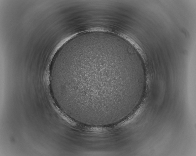 X0000112470933200908241230