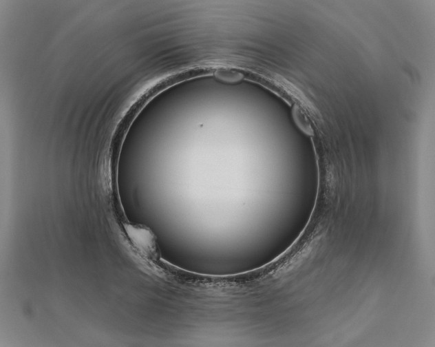 X0000112470934200908241230