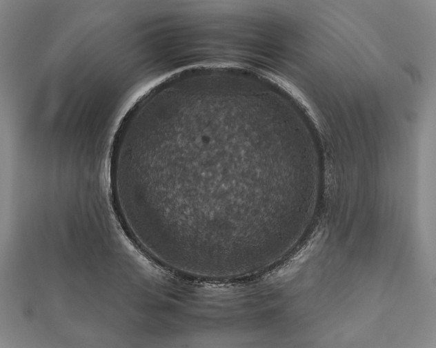 X0000112470935200908241230