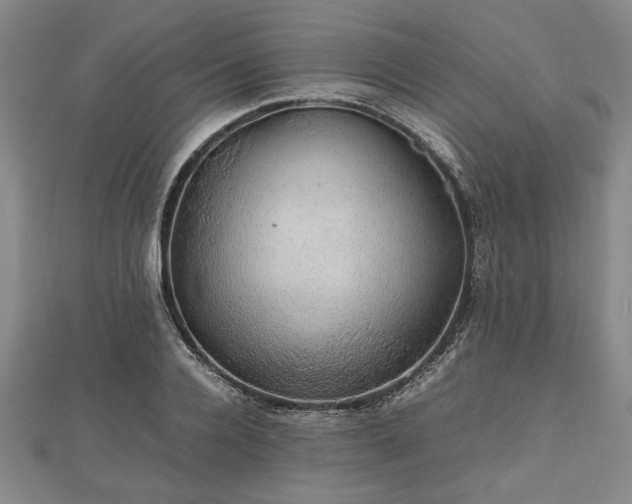 X0000112470936200908241230