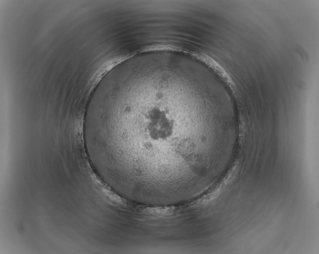 X0000112470937200908241230