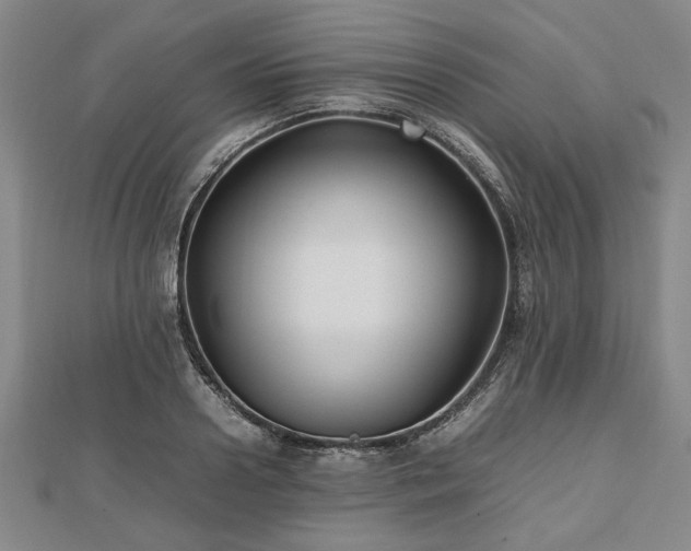 X0000112470938200908241230