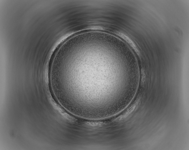 X0000112470939200908241230