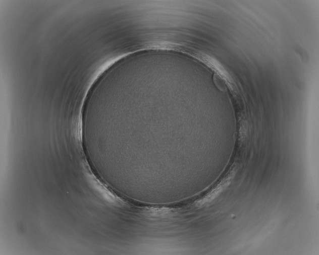 X0000112470940200908241230